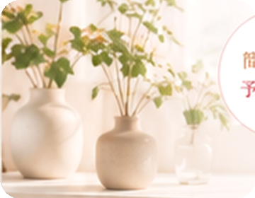 やわらかな光の入る植物のある空間